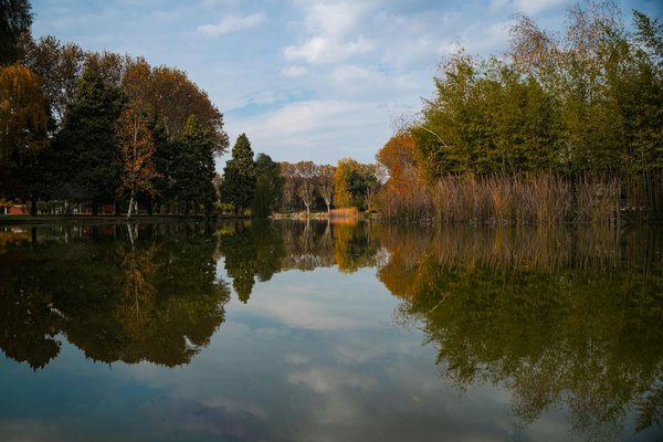 Wie sie achtsames essen mühelos in ihren alltag einbinden können